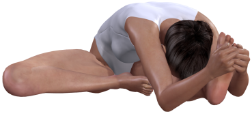 Janushirasana