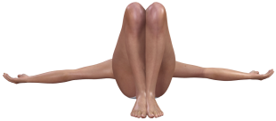 makarasana