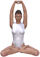 parvata