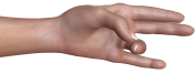 mayura